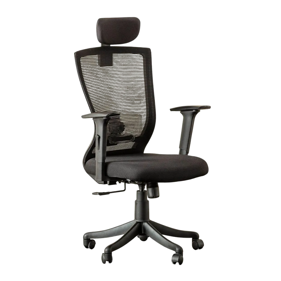 DSR029 Breathable Home and office ergonomic chair