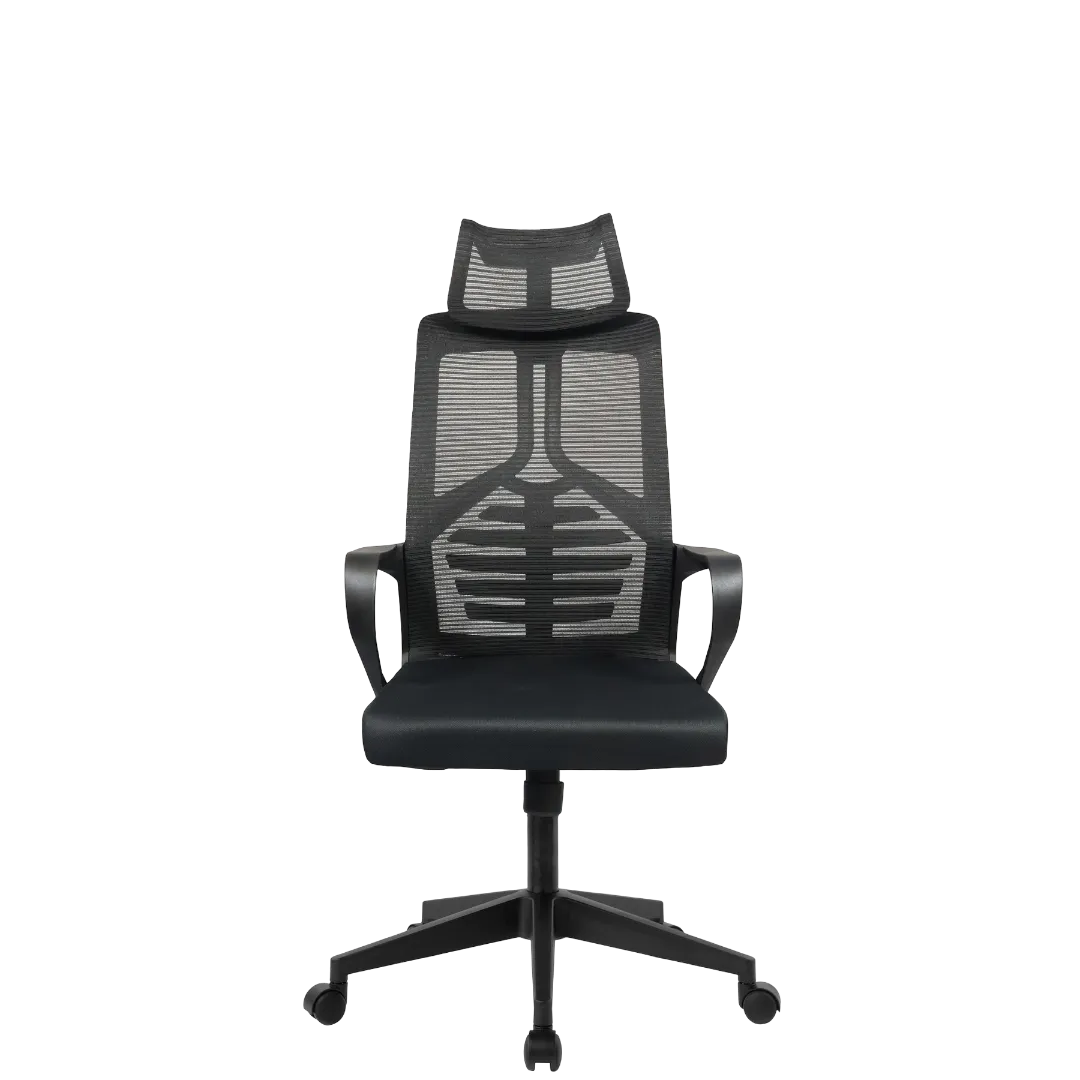 DSR071 Best ergonomic executive chair for home and office