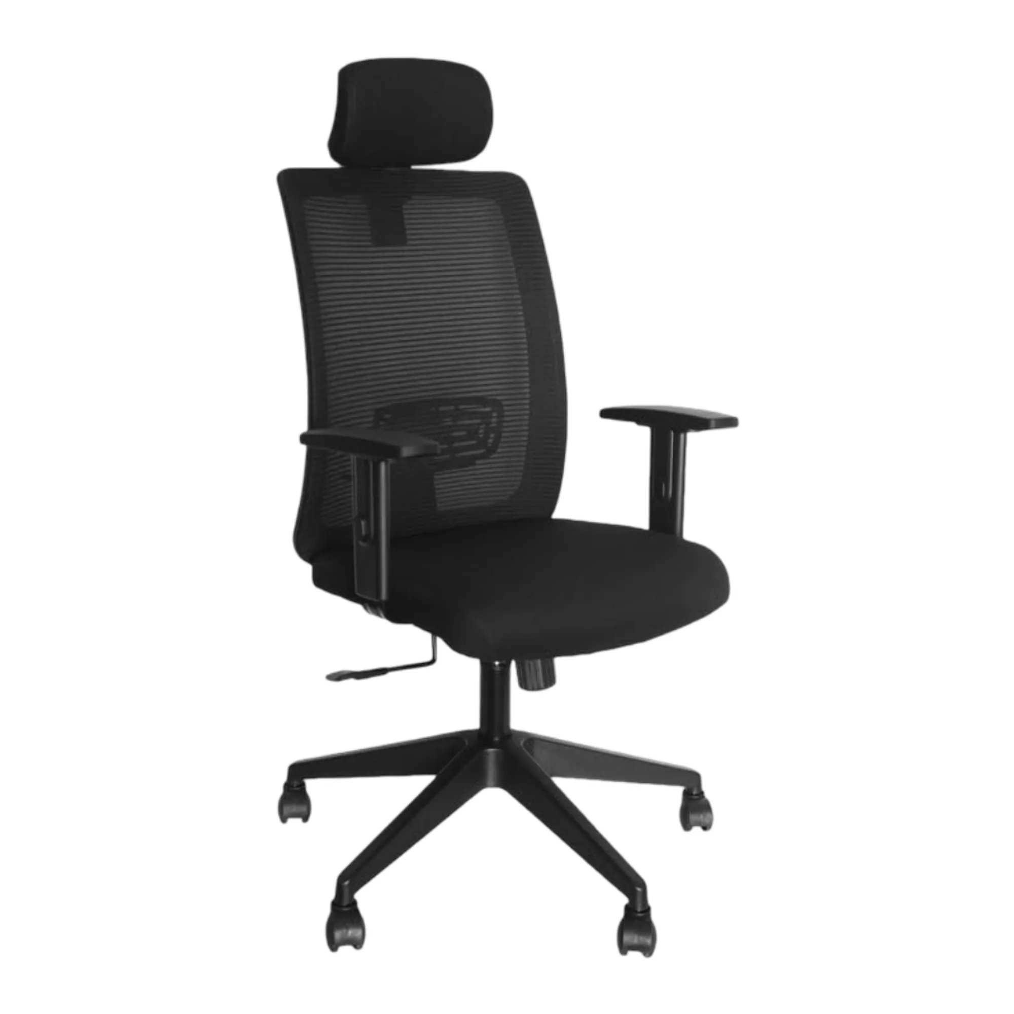 DSR079 Adjustable executive mesh chair for spine support and long working hours